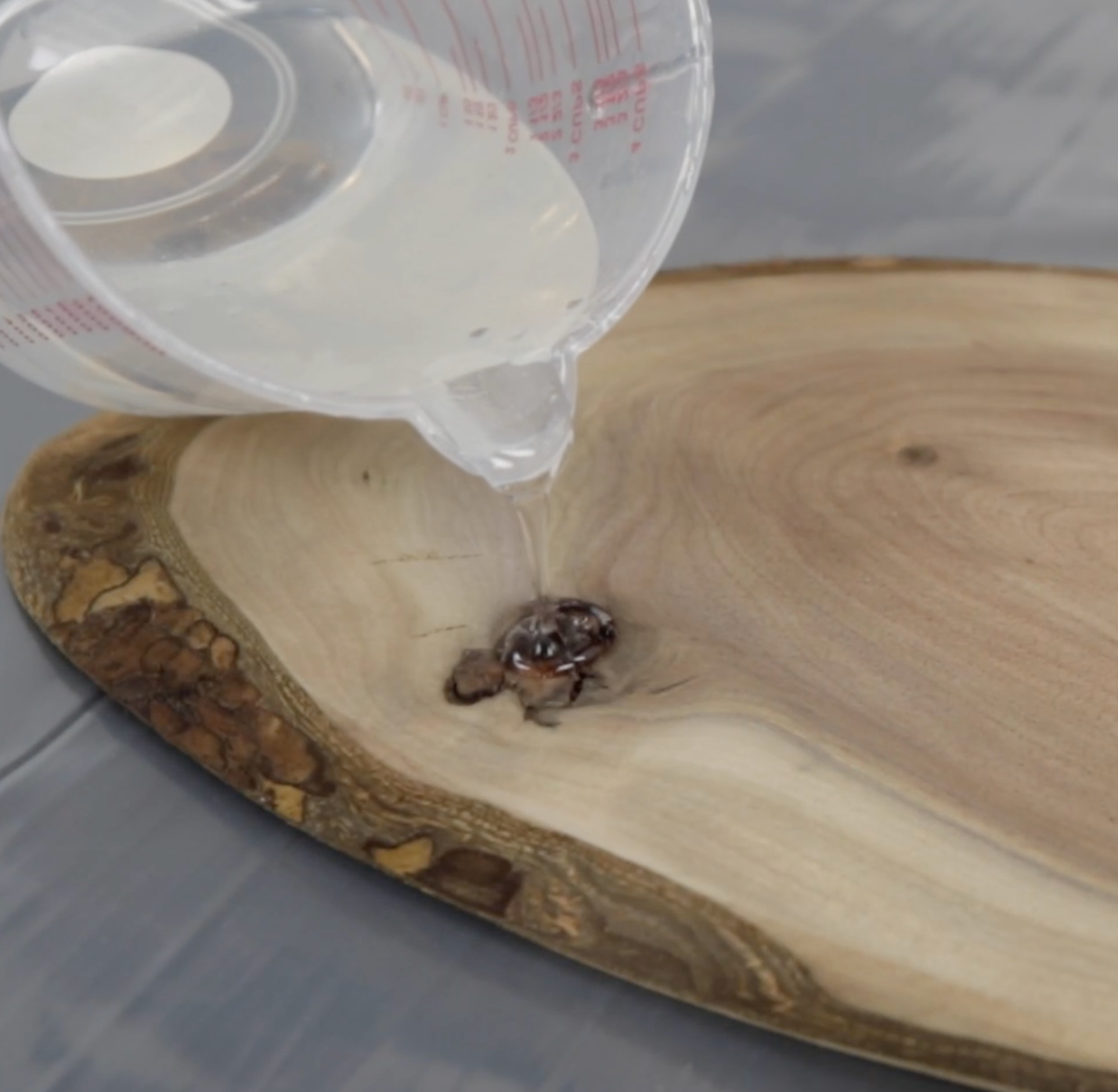 Clear epoxy resin shop filler