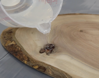 How To Fix Wood Holes, Knots & Cracks With Epoxy Resin